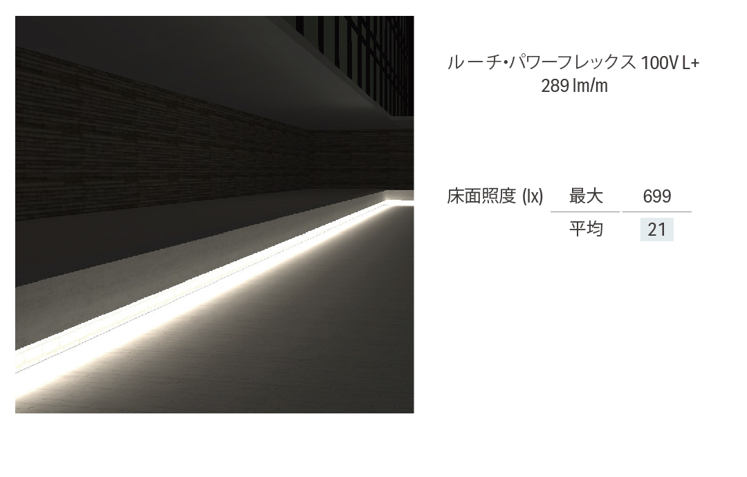 ルーチ・パワーフレックス 100V L+の場合